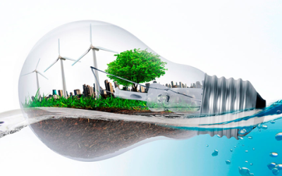¿Cómo hacer de mi empresa una sustentable?